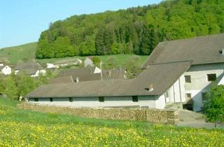 Immobilie kaufen in 79777 Ühlingen-Birkendorf, Landwirtschaftlicher Hof mit großzügigem Landhaus in traumhafter, leicht erhöhter Lage