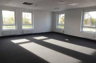 Büro zu mieten in Kreuzweg 1b, 21376 Salzhausen, Ein eigenes Büro in Salzhausen