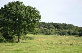 Grundstück zu kaufen in 93464 Tiefenbach, Tiefenbach - Gute Geldanlage - großes Waldgrundstück