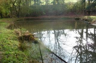 Grundstück zu kaufen in 66917 Biedershausen, Biedershausen - Teichanwesen mitten im Wald Südwestpfalz