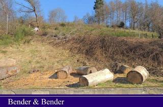 Grundstück zu kaufen in 57520 Mauden, Schönes Baugrundstück am Waldrand mit Fernblick - nähe Daaden!