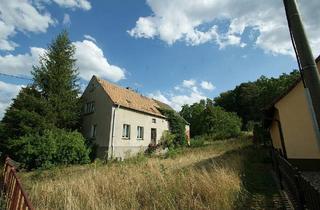 Grundstück zu kaufen in 04874 Belgern, Belgern-Schildau - Unweit Dahlener Heide - Idyllisch gelegenes Grundstück zur Neubebauung