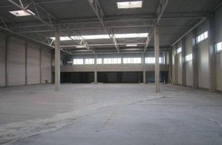 Büro zu mieten in 65468 Trebur, 4.395 m² Logistikhalle + 1.006 m² Bürofläche in Trebur zu vermieten