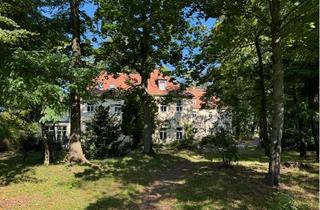 Haus kaufen in 01920 Nebelschütz, Herrenhaus mit großer Parkanlage