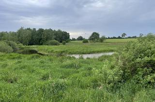 Grundstück zu kaufen in 27243 Prinzhöfte, Ca. 2 ha Naturgrundstück im Landkreis Oldenburg/ Prinzhöfte