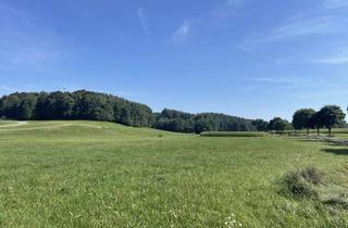 Gewerbeimmobilie kaufen in 86561 Aresing, Großzügige landwirtschaftliche Fläche mit guten Zufahrtsmöglichkeiten Nähe Weilenbach!