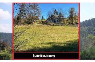 Bauernhaus kaufen in 79875 Dachsberg, Nähe Klosterweiher, nebelfrei – Herbstsonnig, Wohlfühloase, älteres Wohnhaus vollständig hochwert...