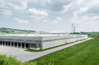 Gewerbeimmobilie mieten in 91589 Aurach, Projektierter Neubau einer Lager- und Logistikhalle