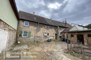 Mehrfamilienhaus kaufen in 06198 Salzmünde, Sanierungsprojekt mit Potenzial. Verwandeln Sie dieses Schmuckstück in eine Wertanlage.