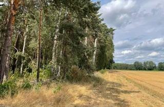 Gewerbeimmobilie kaufen in 03130 Felixsee, Guter Wald bei Klein Loitz