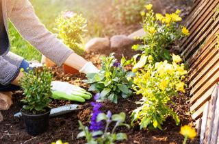 Wohnung kaufen in Mehlklinge 6-8, 71570 Oppenweiler, Für Gartenfreunde: sonnige 3-Zimmer-Wohnung mit Terrasse und großer Gartenfläche