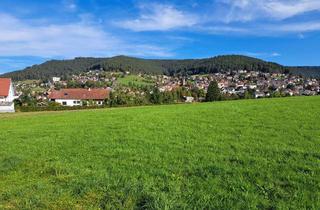 Grundstück zu kaufen in 72270 Baiersbronn, Großes Grundstück in Baiersbronn: tlw. Bauerwartungsland in Top-Lage