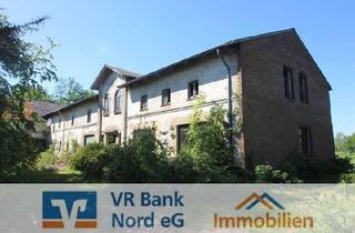 Immobilie kaufen in 24969 Lindewitt, Resthof mit viel Nutzfläche und Potential