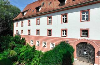 Wohnung kaufen in 93083 Obertraubling, Historische 4-Zimmer-Schloss-Wohnung in Obertraubling mit großer uneinsehbarer Terrasse