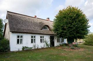 Bauernhaus kaufen in Dorfstraße, 17375 Luckow, Allein-Lage Top-saniertes Bauernhaus mit FeWo, Scheunen, Pferdestall & Koppel 60.000 m²