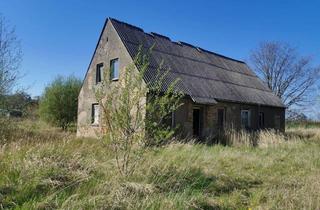 Haus kaufen in Ausbau 03, 18461 Weitenhagen, Handwerkerobjekt in Weitenhagen