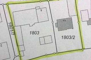 Einfamilienhaus kaufen in Egmatinger Str., 85653 Aying, * Auf 2393 qm Grund: Gepflegtes Einfamilienhaus mit landwirtschaflichen Althof * UNIKAT *