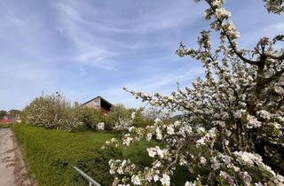 Grundstück zu kaufen in 91180 Heideck, Großes Panorama-Grundstücke mit tlw. Bebauung