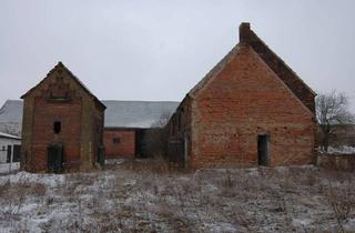 Einfamilienhaus kaufen in Priesitz 68, 06905 Priesitz, Charmantes Sanierungsobjekt: Einfamilienhaus mit Nebengelass in Priesitz