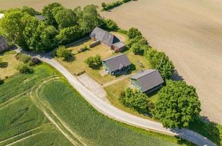 Haus kaufen in 24395 Kronsgaard, Schwedenhaus zur Ferienvermietung oder Wochenendnutzung, nur 5 Minuten zum Ostseestrand