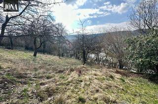 Grundstück zu kaufen in 95361 Ködnitz, Sonniges Grundstück in natürlicher Umgebungvor den Toren Kulmbachs