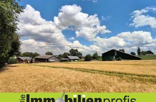 Einfamilienhaus kaufen in 95176 Konradsreuth, 1098 - Landwirtschaftliches Anwesen vor den Toren von Hof