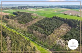 Anlageobjekt in 86513 Ursberg, *Waldgrundstück**Mischwald**Leichte Hanglage**