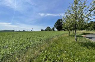 Villa kaufen in 01454 Wachau, Der Freiraum-Klassiker als Stadtvilla auf ca. 700m² Grundstück mit freiem Blick auf die Felder