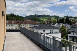 Penthouse mieten in 94469 Deggendorf, Penthouse Wohnung in zentraler Stadtlage in Deggendorf