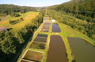 Gewerbeimmobilie kaufen in 63584 Gründau, Fischzuchtanlage mit Wohnimmobilie in idyllischer Lage / Kauf auf Rentenbasis