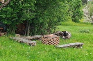 Grundstück zu kaufen in 73650 Winterbach, Landwirtschaftsfläche, Obstbaumwiese, Wiesengrundstück in Aussichtslage