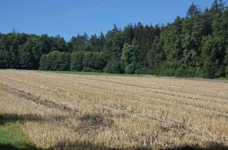 Gewerbeimmobilie kaufen in 86653 Monheim, Landwirtschaftsfläche Acker / Wiese