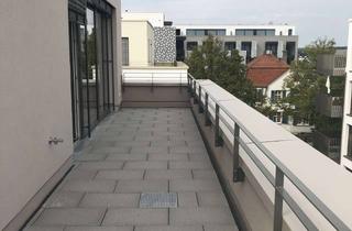 Wohnung mieten in Salinenstraße 18, 74906 Bad Rappenau, Moderne Penthhouse-Wohnung ! Helle 3-Zi. Whg. (W14) mit Dachterrasse in ruhiger Lage!