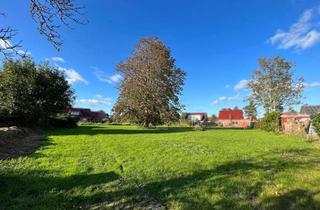 Grundstück zu kaufen in 26556 Westerholt, Liebhaberbauplatz mit Weitblick am Rande von Westerholt