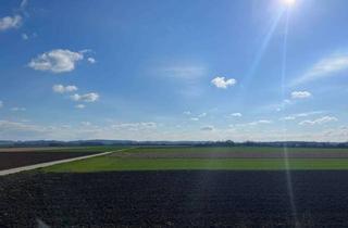 Gewerbeimmobilie kaufen in 94333 Geiselhöring, Landwirtschaftliche Fläche in Sallach