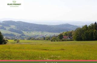 Grundstück zu kaufen in Eschlmais, 93449 Waldmünchen, Welch´ ein Ausblick! Freizeitgrundstück in absolut ruhiger Alleinlage