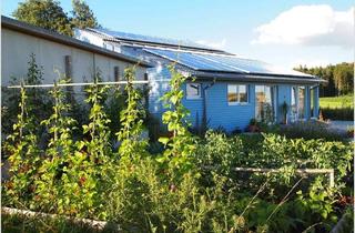 Villa kaufen in 78355 Hohenfels, Moderne Energiesparvilla mit naturverbundenem Garten