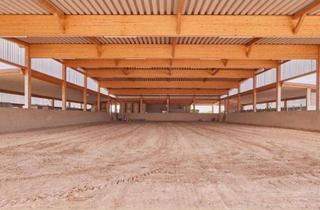 Gewerbeimmobilie kaufen in 55234 Hochborn, Neuwertige Reitanlage aus 2021 – Tolle Aussichtslage mit vielfältigen Trainingsbedingungen!