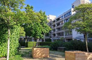 Wohnung mieten in Münsterstraße 19, 55116 Altstadt, 4,5-Raum-Wohnung mit 2 Balkonen, EBK, Garage, Keller u. Fahrradraum in Mainz-Stadtmitte (Toplage)