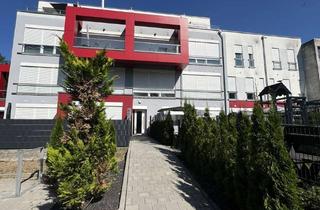 Wohnung mieten in Dr. Michael-Samer-Ring, 86609 Donauwörth, "Stilvoll & komfortabel: 2-Zimmer Wohnung mit Balkon und Premium-Ausstattung"