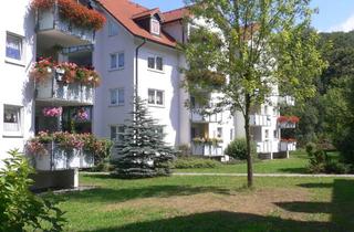 Wohnung kaufen in Pirnaer Strasse 33, 01816 Bad Gottleuba, Gepflegte 1,5-Raum-Wohnung mit Balkon in Bad Gottleuba-Berggießhübel , Nähe Dresden