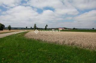 Grundstück zu kaufen in 04509 Krostitz, Großzügige Bauflächen für Lager- und Produktionsneubau nahe Leipzig