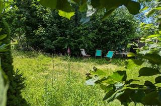 Haus kaufen in 77880 Sasbach, Liebhaberobjekt - Zweifamilienhaus mit Scheune