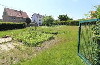 Grundstück zu kaufen in 09322 Penig, Platz für Ihr Tiny-Haus - ländliches Grundstück mit positivem Bauvorbescheid