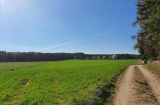 Grundstück zu kaufen in 92256 Hahnbach, Wohngrundstück in sonniger, unverbaubarer Lage mit herrlicher Aussicht