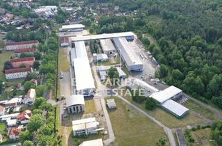 Gewerbeimmobilie mieten in 02994 Bernsdorf, Industriepark für vielfältige Nutzung im Großraum Dresden