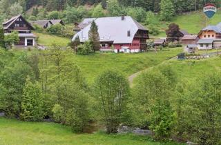 Bauernhaus kaufen in 79682 Todtmoos, Erholung pur! Idyllisch am Bach gelegenes Bauernhaus mit tollem Ausbaupotential!