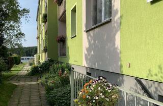 Wohnung mieten in Straße Der Jugend 40a, 01936 Neukirch, Für den kleinen Geldbeutel - 1 Zimmer Wohnung im Grünen
