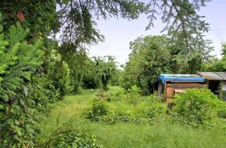 Grundstück zu kaufen in 64584 Biebesheim, Platz für Neues mit Gartenparadies in Biebesheim