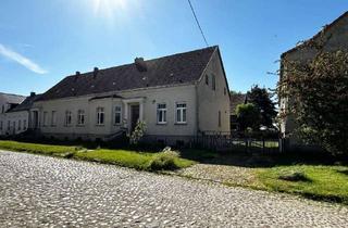 Bauernhaus kaufen in Trüstedt 17, 39638 Jävenitz, Bauernhaus mit Scheune und großem Garten/Weidefläche